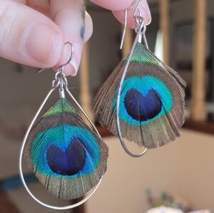 Vintage Real Peacock Feather Hoop Detail Hook Earrings